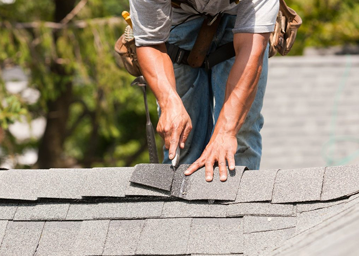 Professional Roofing Services